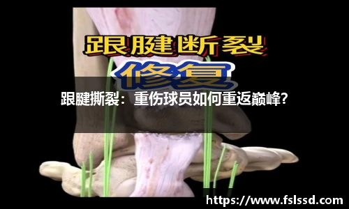 跟腱撕裂：重伤球员如何重返巅峰？